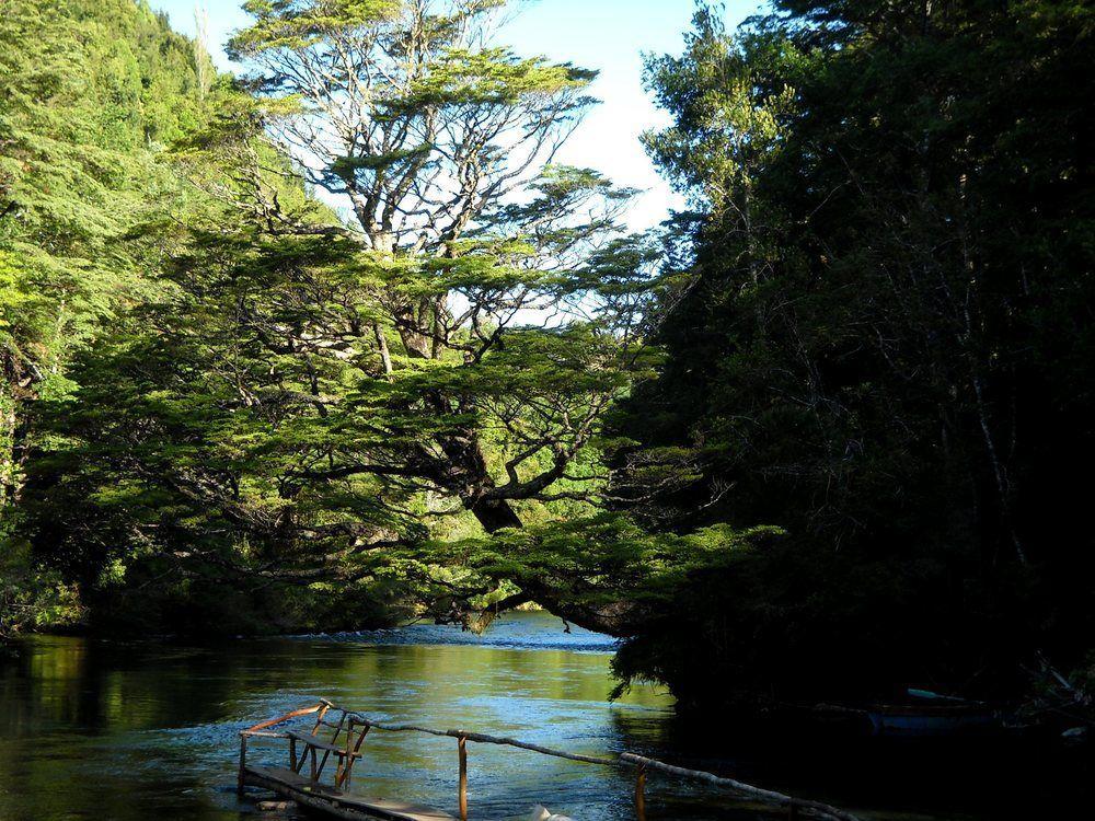 Salto Del Carileufu Hotel Pucón